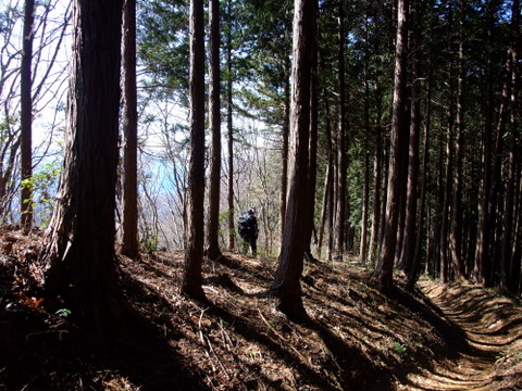 a0043982_20141556.jpg