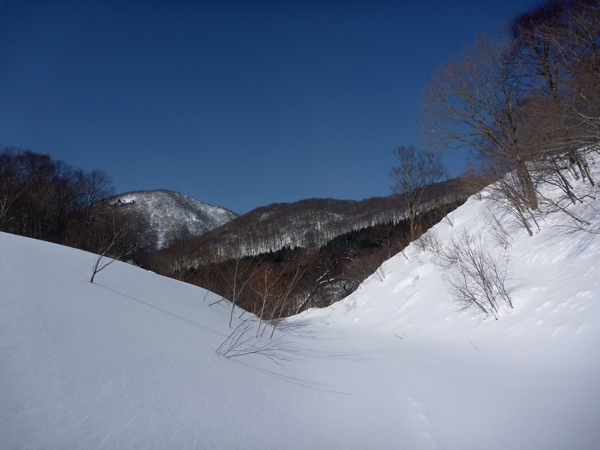 a0043193_2361760.jpg