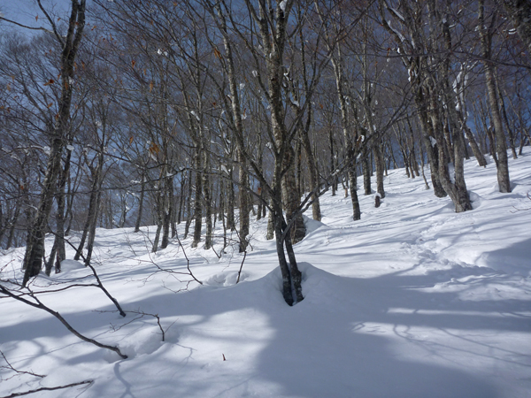 a0043193_2364813.jpg