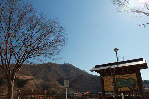 b0151893_1513423.jpg