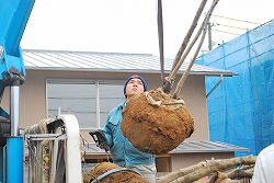 a0244794_0264626.jpg