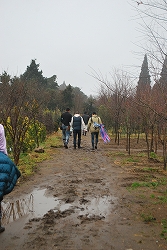 a0244794_037148.jpg