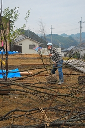 a0244794_0442411.jpg