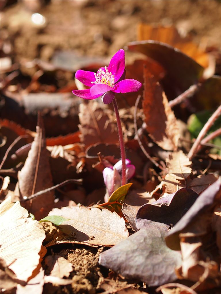 f0224100_235023.jpg
