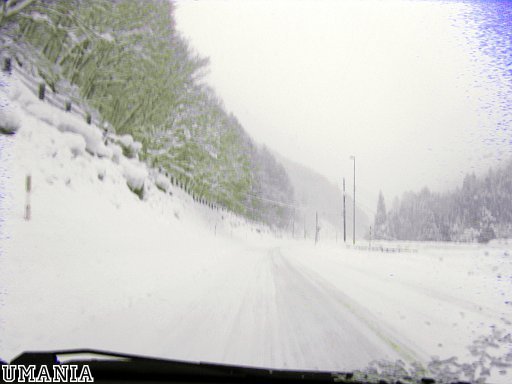 b0061004_6523199.jpg