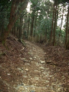 f0032106_21341687.jpg
