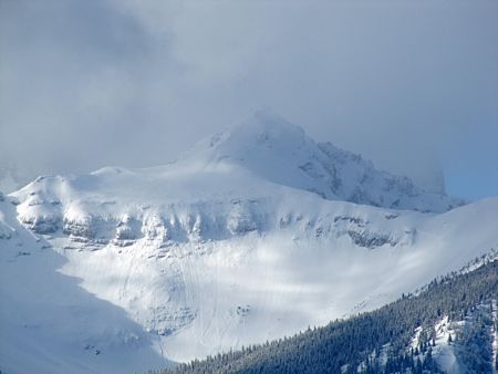 b0051109_1034672.jpg