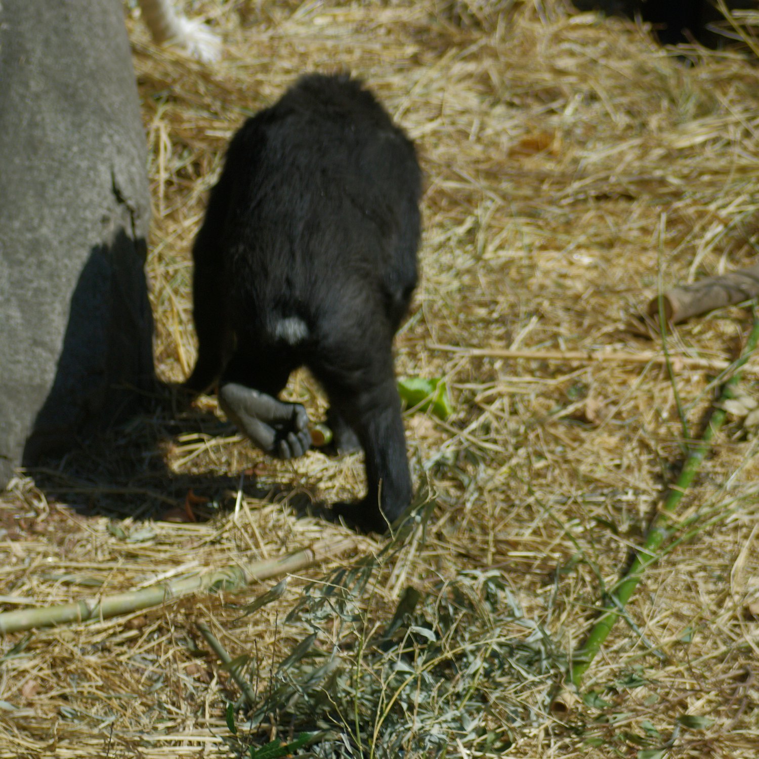 e0142611_1241051.jpg