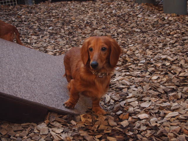e0209716_13231446.jpg