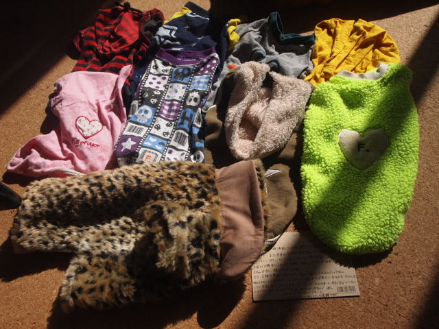 e0209716_14142468.jpg