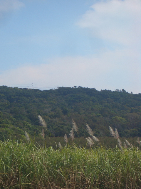 f0197325_1337166.jpg