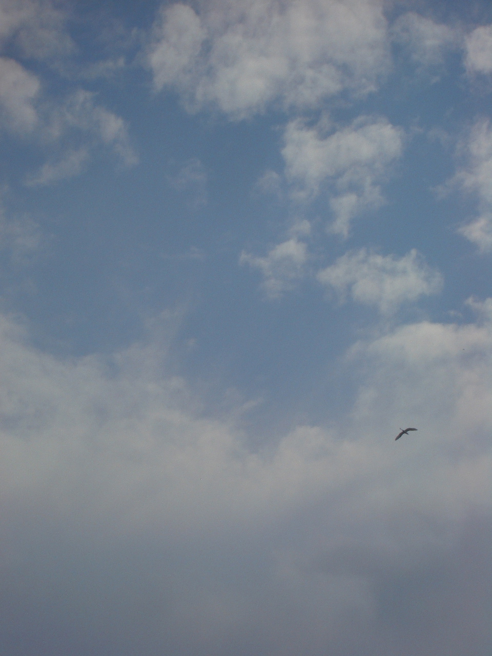 f0197325_13403712.jpg