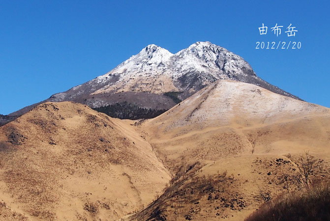 f0153140_12198.jpg
