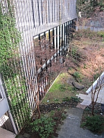 e0080345_812652.jpg