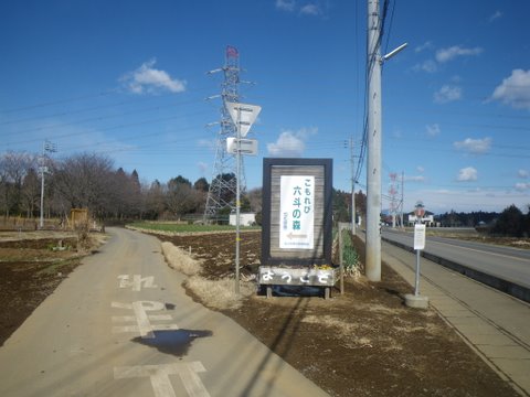 f0046250_23303070.jpg