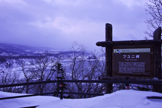 c0199552_22102718.jpg