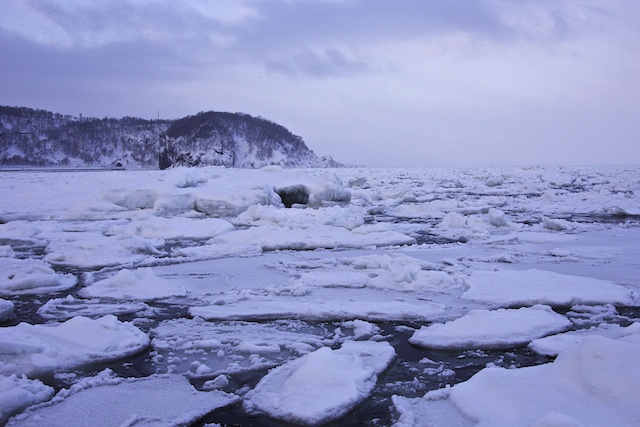 c0199552_22134328.jpg