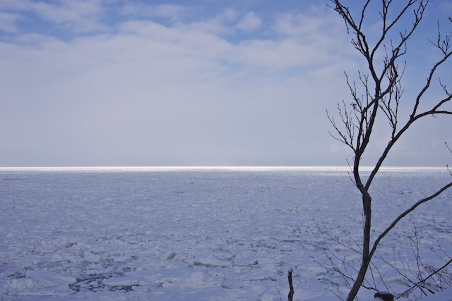 c0199552_225577.jpg