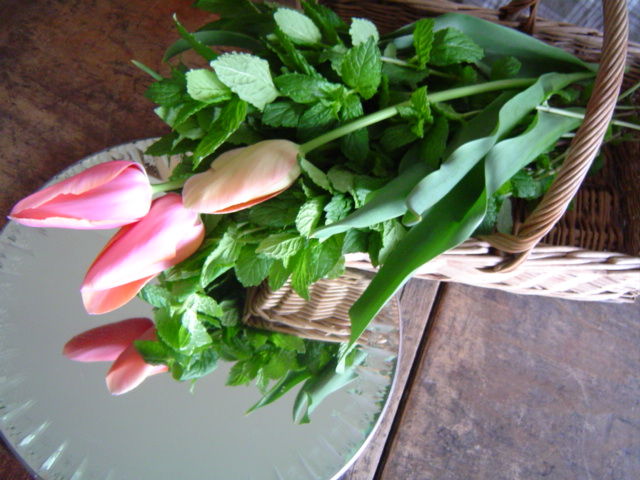 c0172261_8552739.jpg