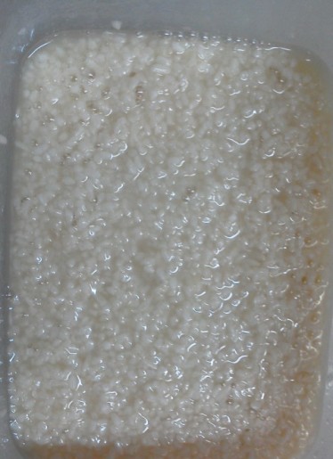 b0236665_7383592.jpg