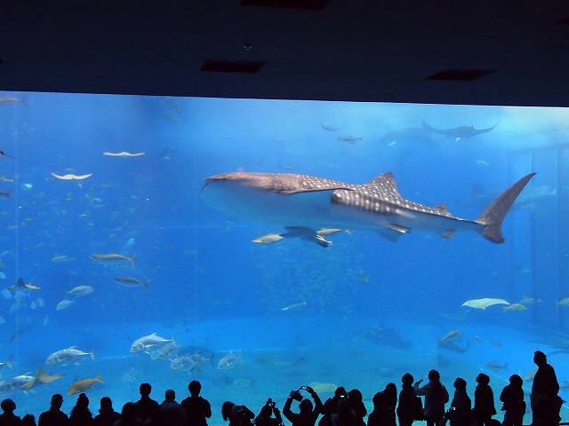 b0138768_12592486.jpg
