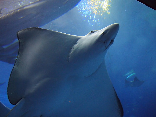 b0138768_131396.jpg