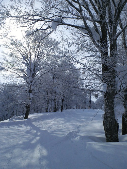 f0117673_01446.jpg