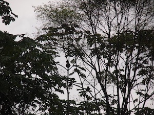 d0041074_8281730.jpg