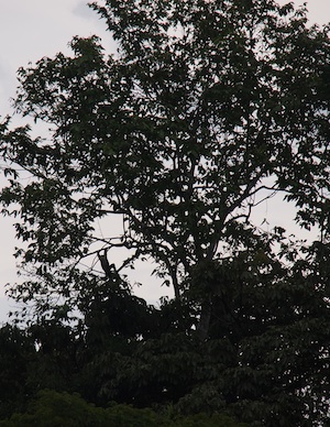 d0041074_848495.jpg