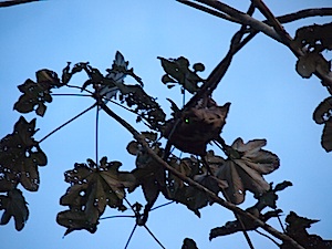 d0041074_942184.jpg