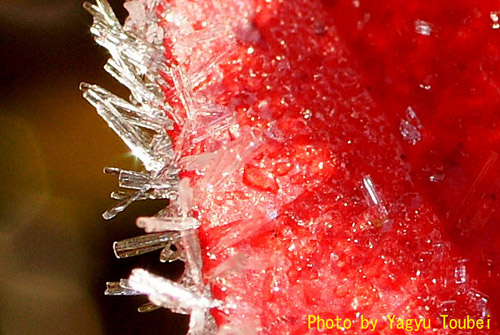 b0132475_22365269.jpg