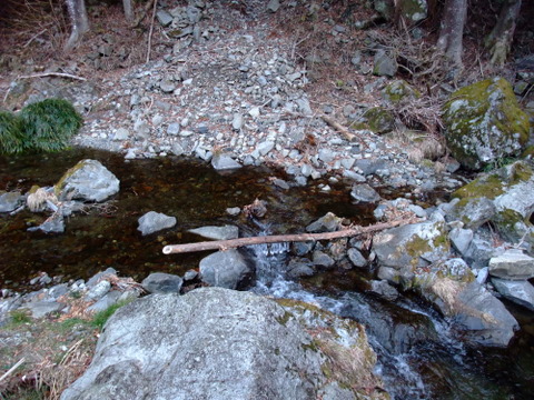 a0043982_17245615.jpg