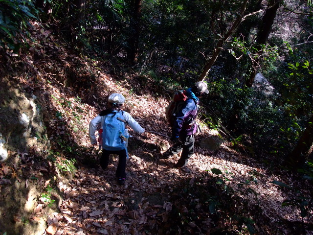 a0043982_2011414.jpg