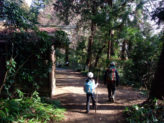 a0043982_202366.jpg