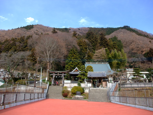 a0043982_20464.jpg