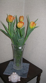 a0234185_22193654.jpg