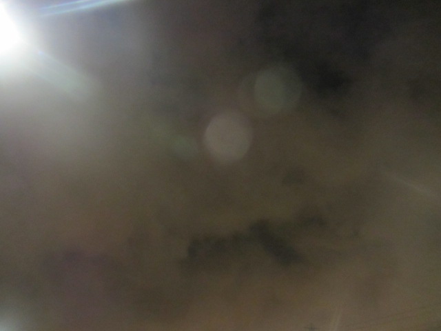 b0202185_1634275.jpg
