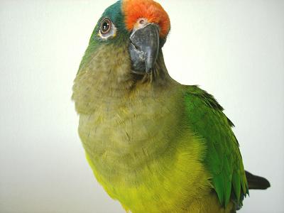 f0234590_8581836.jpg