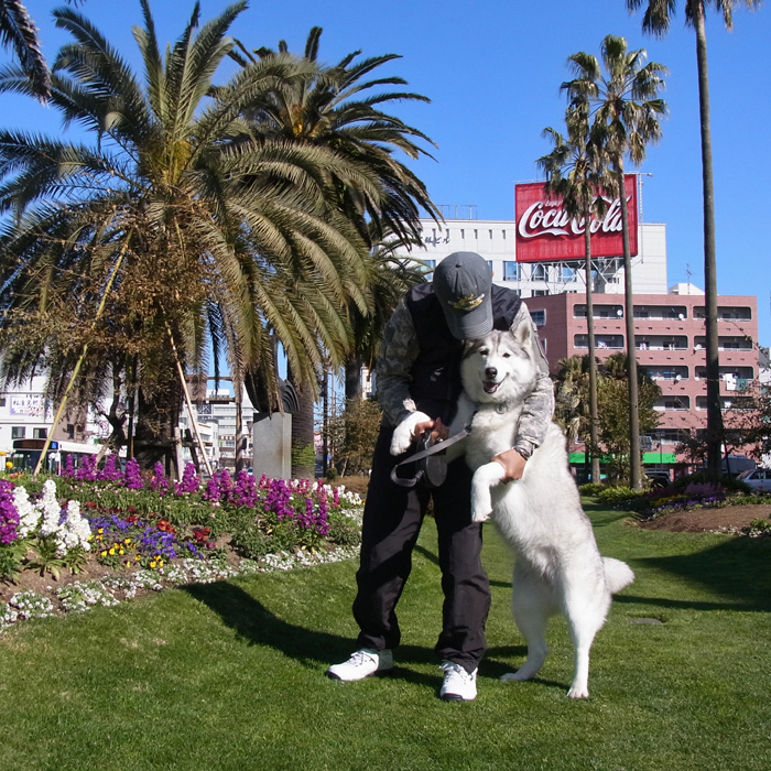 c0049299_19283416.jpg
