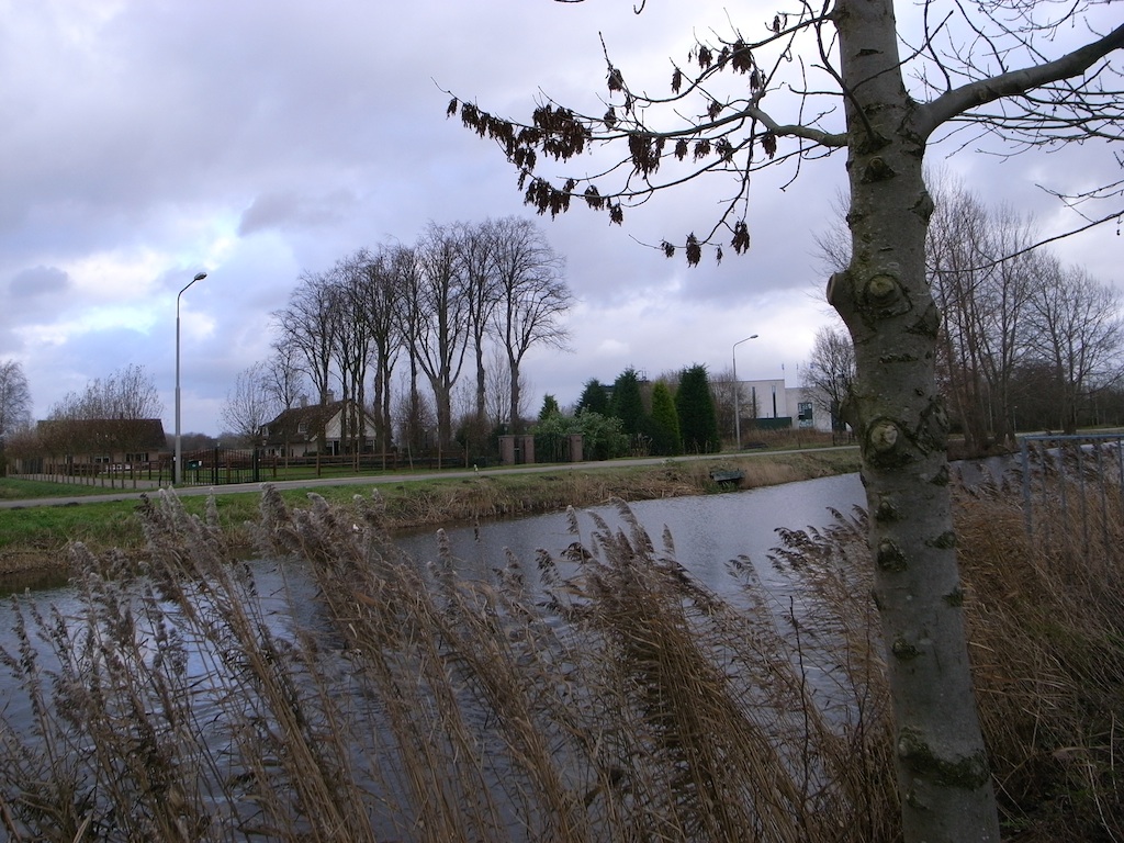 f0108399_13585049.jpg