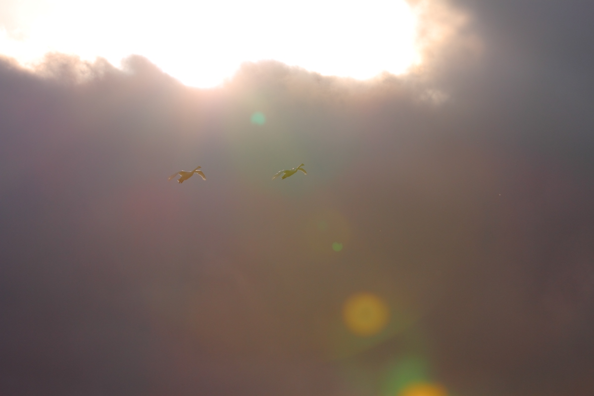 a0155104_12441768.jpg
