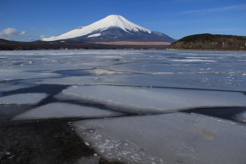 a0188405_0383130.jpg