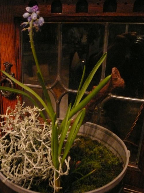 f0204110_13332534.jpg