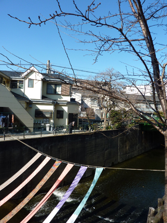 d0113613_119317.jpg