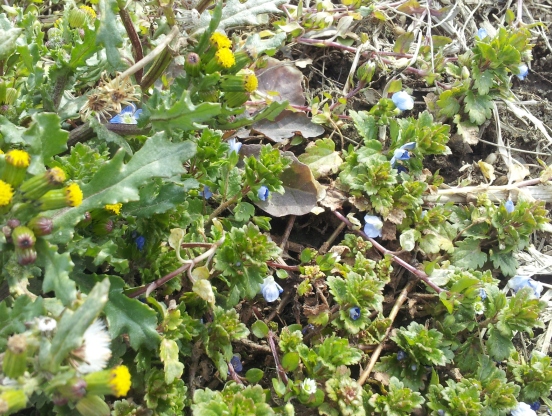 e0033713_1216694.jpg