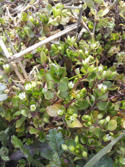 e0033713_12171069.jpg