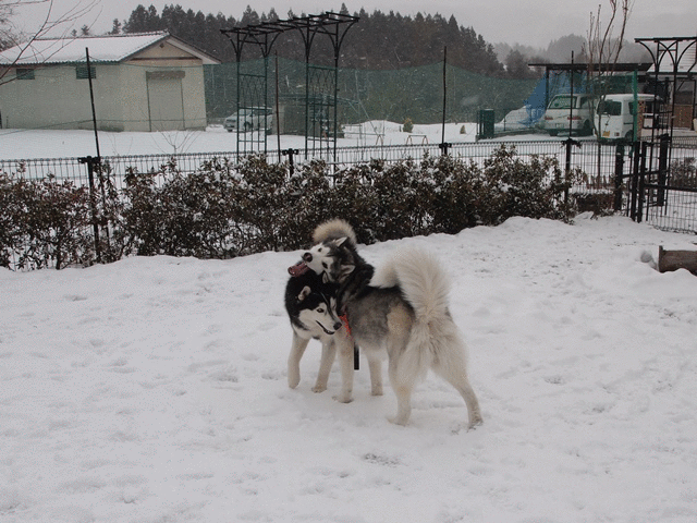b0207615_2292844.gif