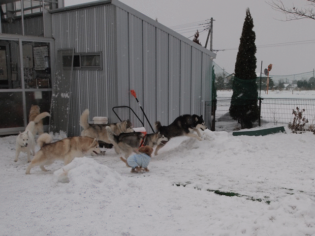 b0207615_2293718.gif