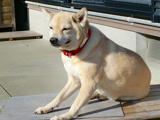 b0073616_23263060.jpg