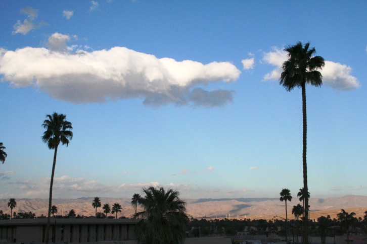 d0027320_227963.jpg